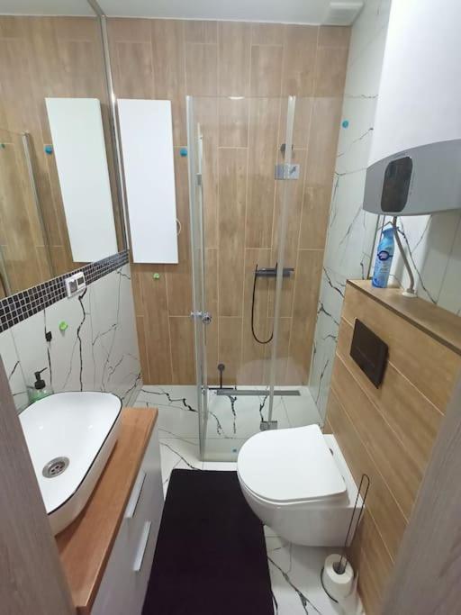 W Centrum Miasta Przy Parku I Jeziorze