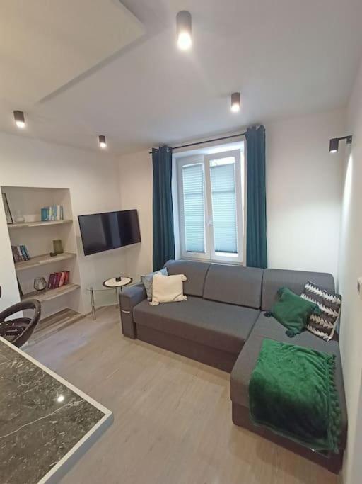 W Centrum Miasta Przy Parku I Jeziorze Apartment *